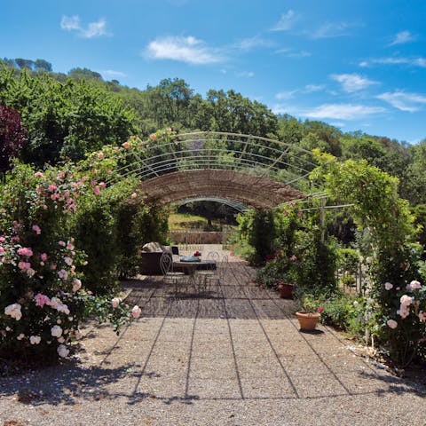 Lose yourself among the flowers