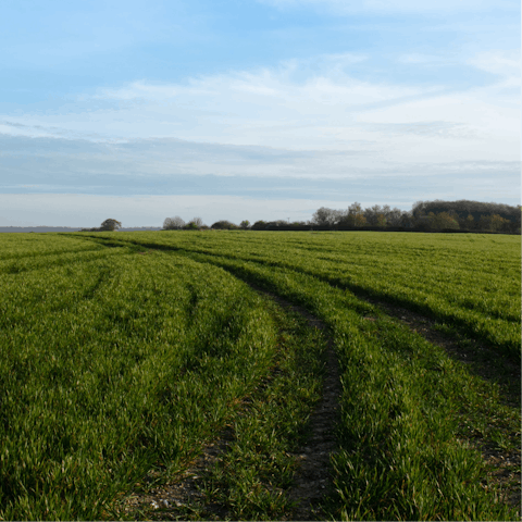 Lace up your hiking boots and explore the North Downs
