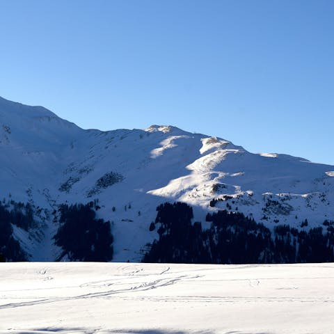 Take bike or hiking tours in the summer, or ski in the winter