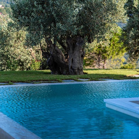 While away sunny hours in your private infinity pool