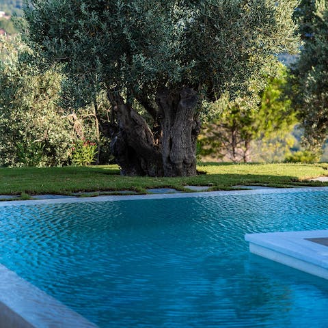 While away sunny hours in your private infinity pool