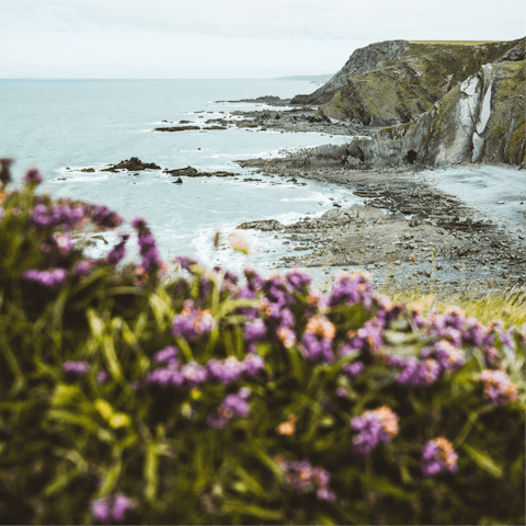 Explore the rugged beauty of the North Devon and Cornwall coastlines – both are a little over thirty minutes' drive away