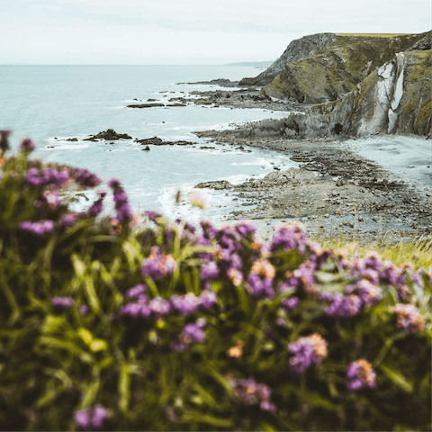 Explore the rugged beauty of the North Devon and Cornwall coastlines – both are a little over thirty minutes' drive away