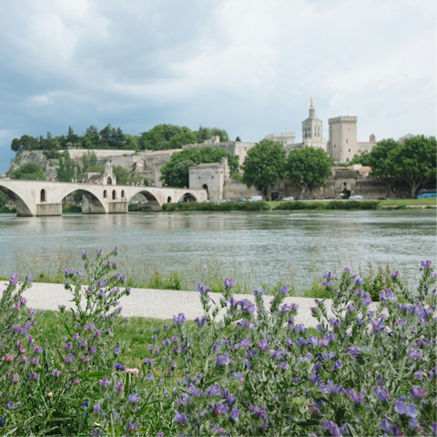 Explore the city of Avignon, just fifteen minutes away
