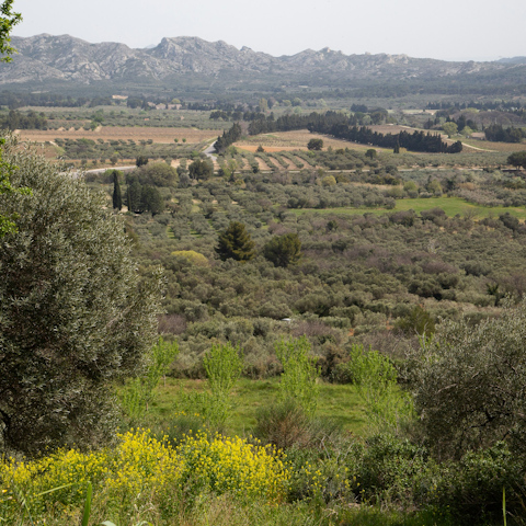 Head out on a hike further into the Alpilles