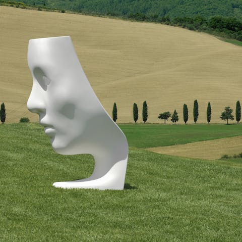 Sink into the unique Nemo chair in the grounds