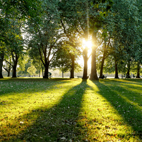 Head to nearby Hyde Park for an afternoon picnic