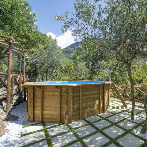 Cool off in the private pool surrounded by olive trees