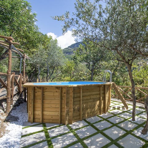 Cool off in the private pool surrounded by olive trees