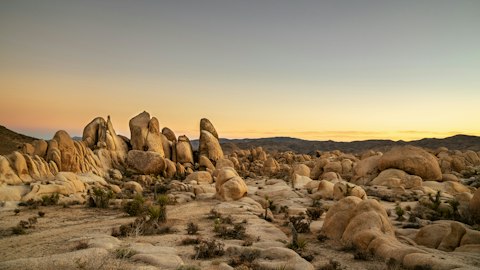 Head out on a desert hike in Joshua Tree