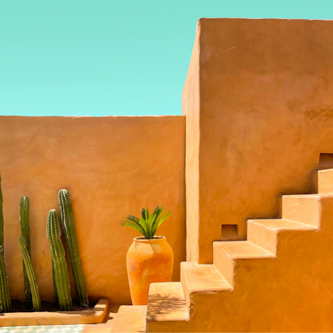 Explore the colourful streets of Oaxaca town