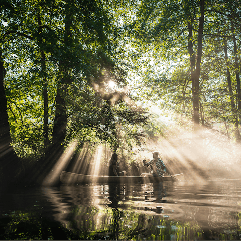Explore the ancient forests of the Kočevje region