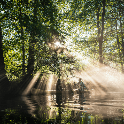 Explore the ancient forests of the Kočevje region
