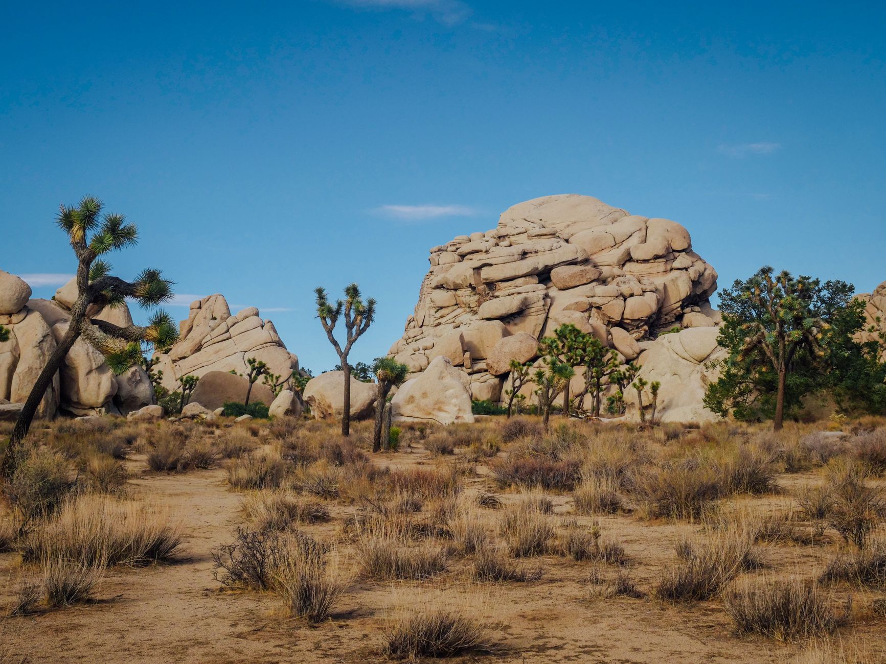 Desert Geometry