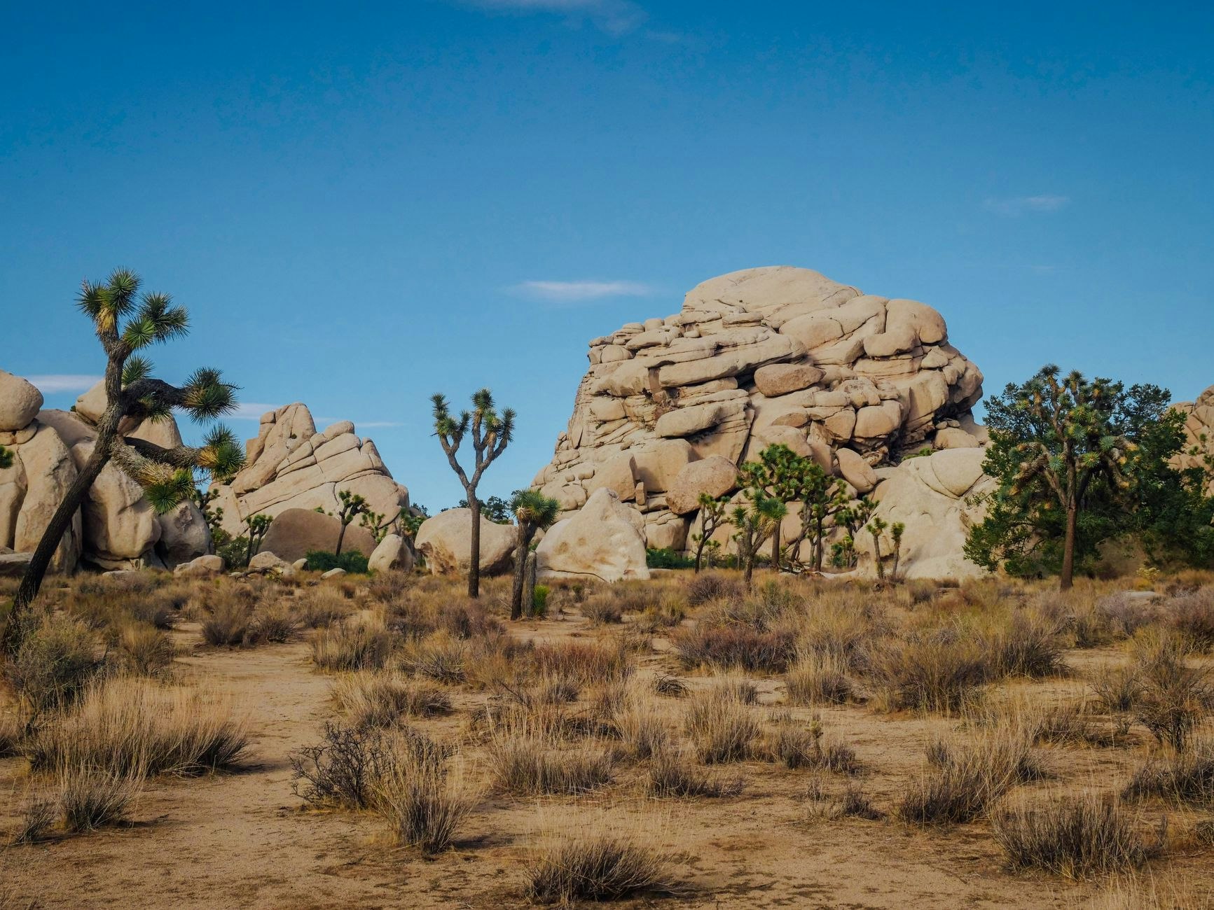 Desert Geometry