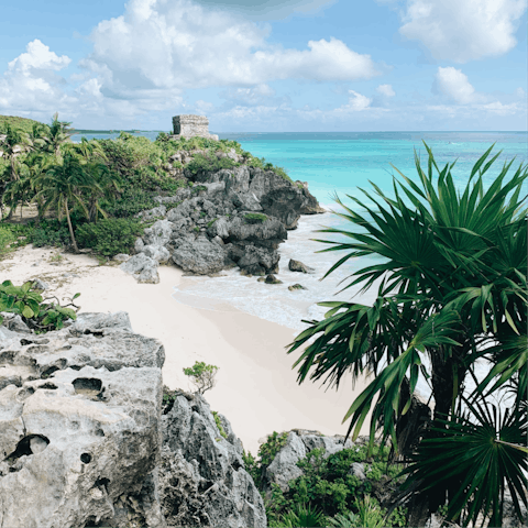 Arrange a day trip to explore further along the sandy coastline of Tulum