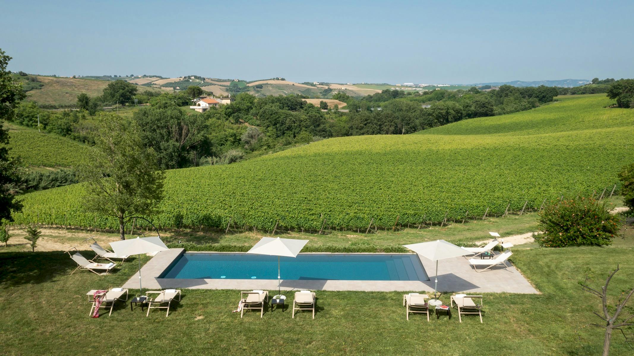 In The Abruzzo Bloom