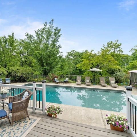 Take a dip in the swimming pool surrounded by trees