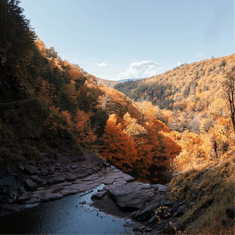 Hike in the Catskill Mountains, less than an hour away by car
