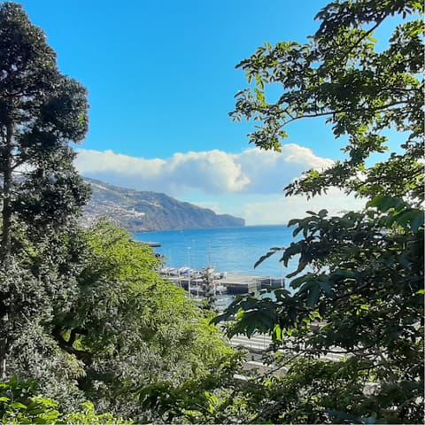 Take a stroll along the waterfront and up into the hills