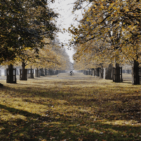Take a walk through Bushy Park and stop for a picnic at the Diana Fountain