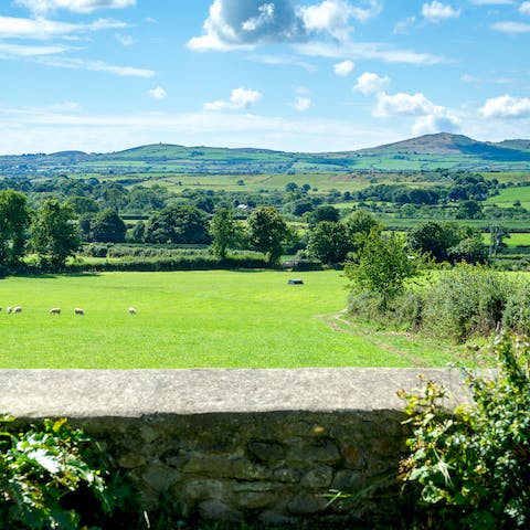 Sip your morning coffee as you soak up uninterrupted views of Welsh countryside