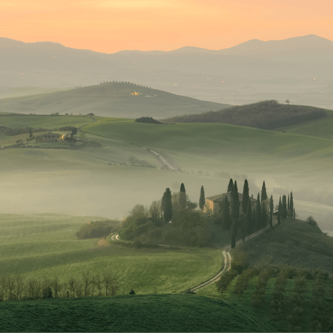 Explore Tuscany, including the nearby village of Suvereto