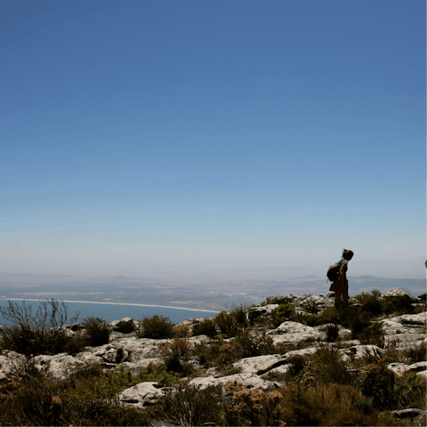 Challenge yourself to a hike along the Lion's Head