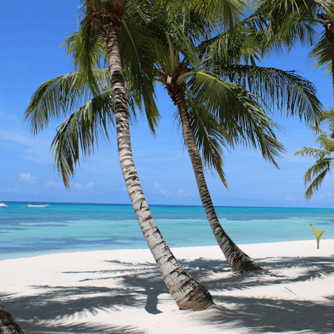 Swim in the Caribbean Sea, then dry off on the beach