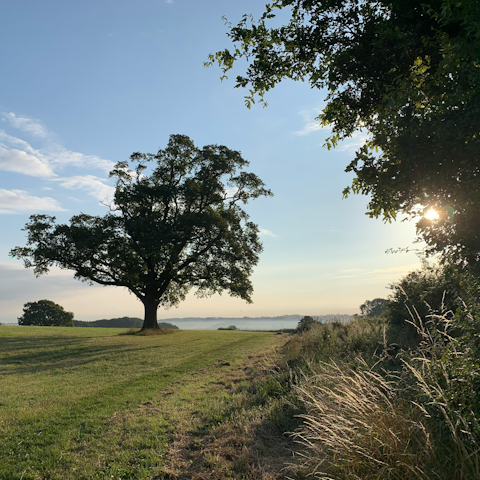 Head to the nearby Shropshire Hills for a rural ramble