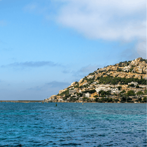Visit the beautiful Port d'Andratx and experience scenic boat trips and submarine tours