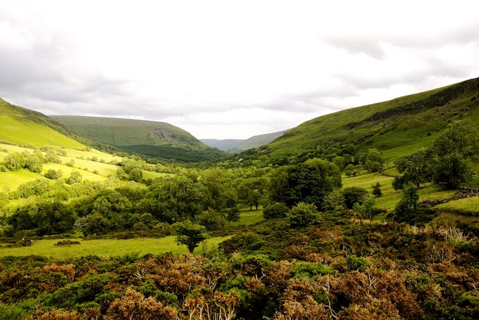 Serenity in the Black Mountains