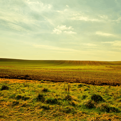 Stay in East Yorkshire, home to rolling countryside and historic towns