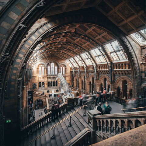 Spend the day at the nearby Natural History Museum
