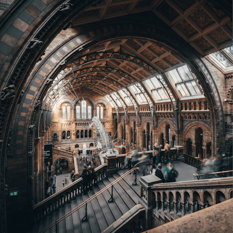 Spend the day at the nearby Natural History Museum