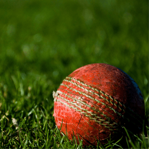 Watch a cricket game at the Oval, fifteen minutes on foot