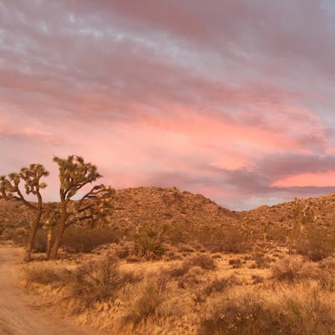 Explore Joshua Tree National Park, just a few minutes away