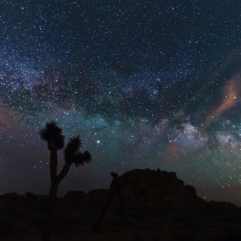 Spend your evenings gazing up at the stars