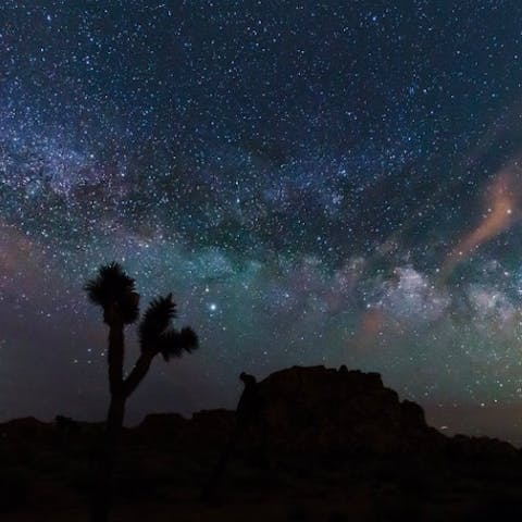 Spend your evenings gazing up at the stars