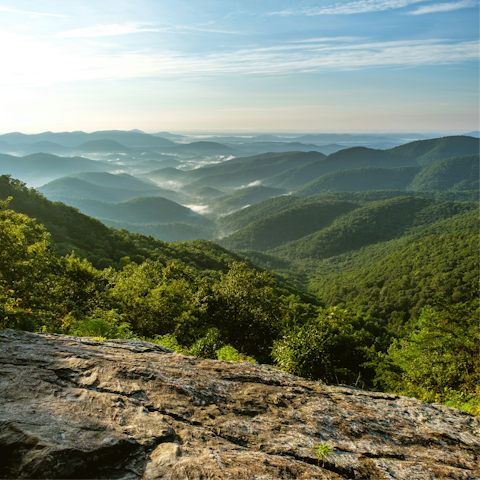 Head out for a hike at Yonah Preserves Trail, 8 miles away