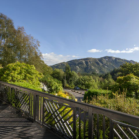Take in the views of the forest-clad hills