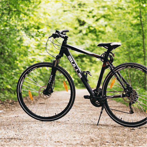 Take your bike out for a ride in the mighty forests