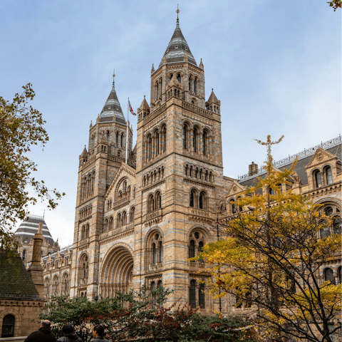 Discover the Natural History Museum – less than twenty-five minutes away on foot