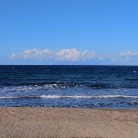 Drive to Seacliff Beach, less than ten-minutes' away