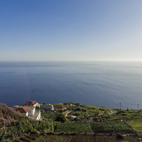 Stay on Madeira's west coast, the sunniest spot on the island