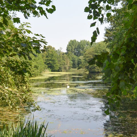 While away sunny afternoons with a relaxing lakeside stroll