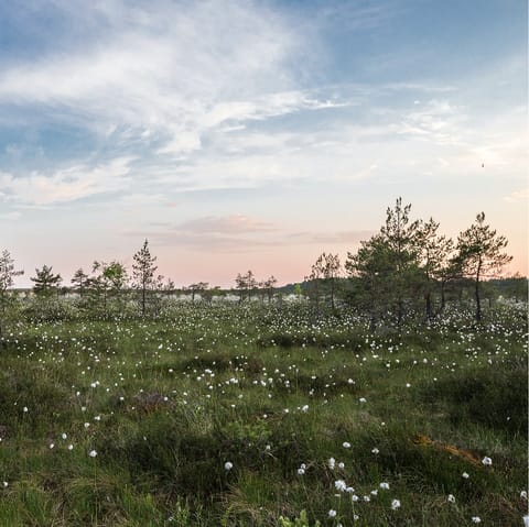 Enjoy local rural walks around Henham and across to Suffolk's Heritage Coast