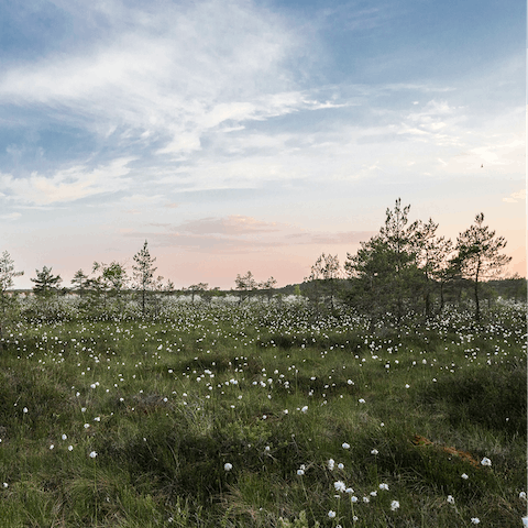 Enjoy local rural walks around Henham and across to Suffolk's Heritage Coast