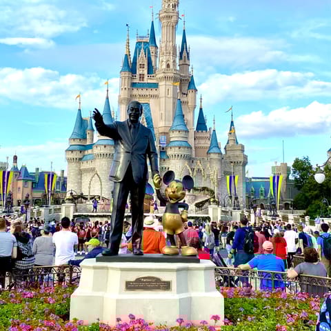 Discover a world where dreams really do come true at Disney World, a twenty–five minute drive away