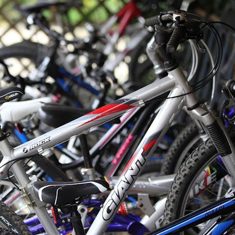 Grab a bicycle and take the eight-minute trip to the award winning Plough at Kingham restaurant